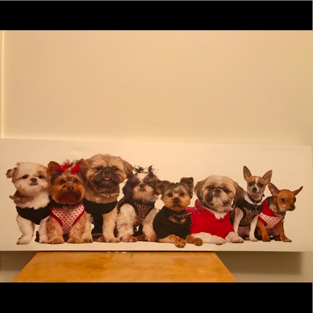 Dog canvas portrait